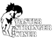 Faster Stronger Wiser LLC